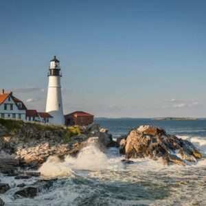 download (50) download (50)