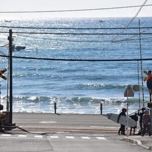 download (51) download (51)